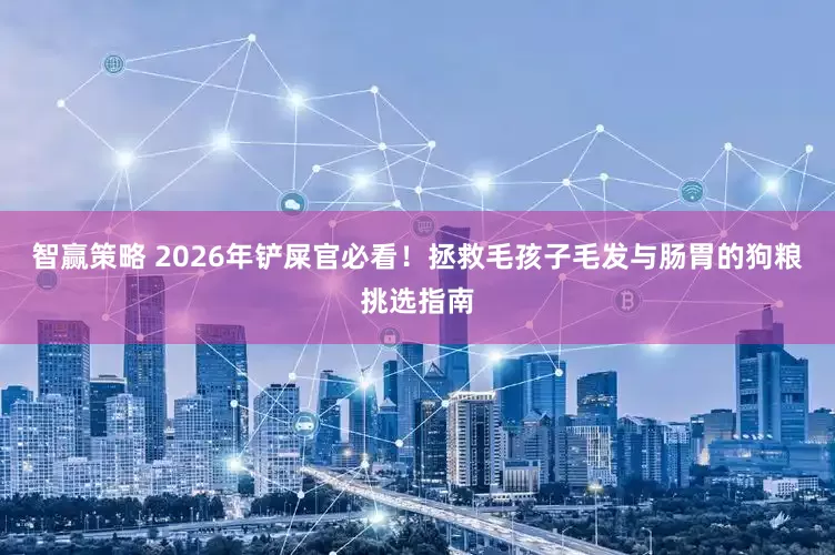 智赢策略 2026年铲屎官必看！拯救毛孩子毛发与肠胃的狗粮挑选指南